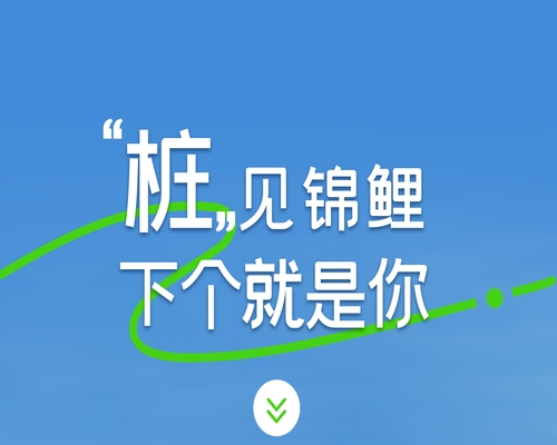 “樁”見錦鯉，下個(gè)就是你