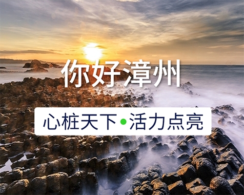 新城開(kāi)埠 | 心樁天下，“電”亮漳州