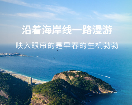 去南國，與爛漫生機相擁